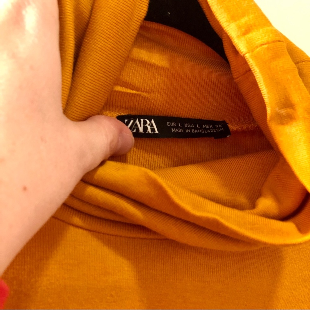 Zara Top